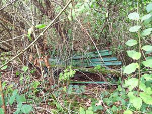 Von Ranken und Büschen überwuchert steht versteckt am Rande des Fichtenwäldlesrains eine alte Holzbank. Foto: Schnurr Foto: Schwarzwälder Bote