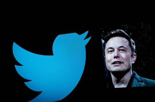 Elon Musk will ein Abo für Twitter einführen (Archivbild). Foto: IMAGO/Pacific Press Agency/IMAGO/Andrea Ronchini