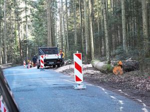 Für die Sanierung eines Teilstücks der Gemeindeverbindungsstraße zwischen Sommenhardt und Speßhardt wurden bereits Bäume gefällt. Foto: Stocker Foto: Schwarzwälder Bote
