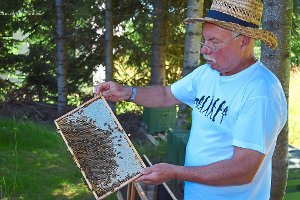Zwölf Wirtschaftsvölker, unter anderem slowenische Honigbienen, bescheren Horst Mantel reiche Honig-Ernte.  Foto: Hettich-Marull Foto: Schwarzwälder-Bote