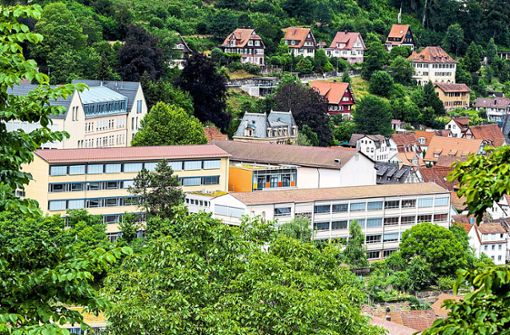 Der Haffnerbau des Calwer Hermann-Hesse-Gymnasiums soll saniert werden. Foto: Fritsch