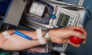Eine Blutspende-Aktion in Horb soll am kommenden Montag stattfinden. Das Q-Fieber in Dießen verhindert den Termin nicht. Foto: Pleul Foto: Schwarzwälder-Bote