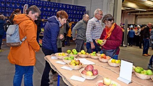 Viele Apfelsorten lagen zum Anschauen bereit – Besucher konnten auch ihre eigenen Mitbringen. Foto: Ursula Kaletta