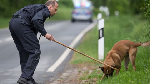 Unter anderem mit Leichenspürhunden sucht die Polizei derzeit nach einem Baby in Mannheim. (Symbolbild) Foto: dpa/Friso Gentsch