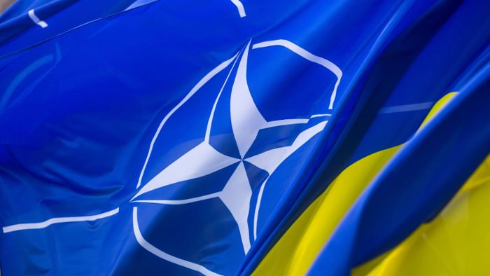 Warum unterstützt die Nato die Ukraine?