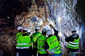 In der Grube Clara hat sich den Geowissenschaftlern die seltene Gelegenheit geboten, ein aktives Bergwerk zu erleben – und auch die Fülle an Mineralien war für die Gäste interessant. Foto: Sachtleben