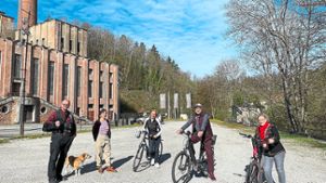 Grünen-Fraktion meldet sich zur Stellplatzfrage - Parkhaus im Neckartal?