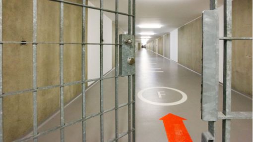 Der Beschuldigte sitzt in Untersuchungshaft (Symbolbild). Foto: IMAGO/C3 Pictures/IMAGO