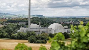 Südwest-FDP stellt Machtwort bei Atomkraft in Frage