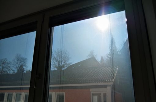 Wer sitzt nicht gerne am Fenster, wenn die Sonne hereinscheint?  Photo: Fuchs