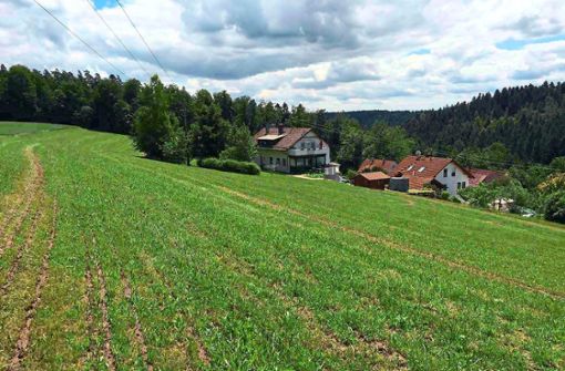Noch ist in Rötenbach viel grüne Wiese – zumindest im Gebiet Erweiterung Eichwald ändert sich das bald. Foto: Archiv/Dörr