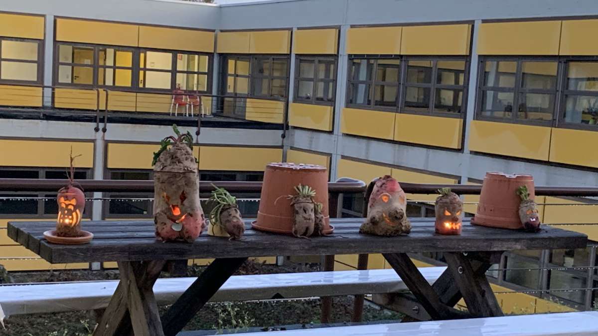 Rüben oder Kürbis?: Warum die Tradition der Rübengeister in