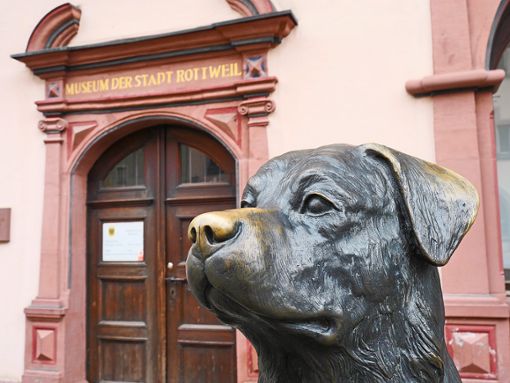 Was soll man mit dem Stadtmuseum bloß anstellen? Da weiß auch dieser Rottweiler Hund keinen Rat.  Fotos: Nädele Foto: Schwarzwälder Bote