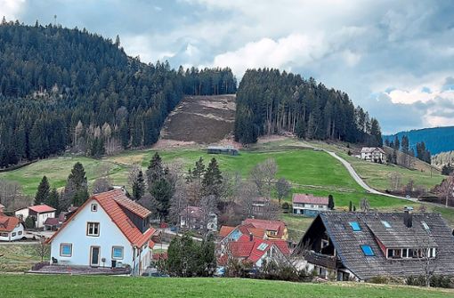 Auf dem Schramberg in Mitteltal soll ein 5G-Funkmast errichtet werden.  Foto: Braun