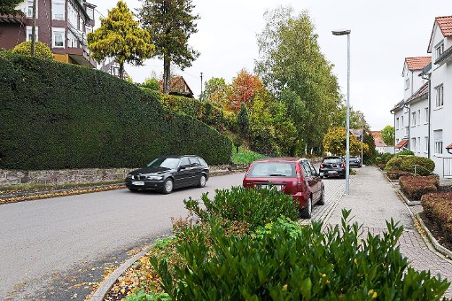 Mitunter geht es in der Talstraße in Schömberg ziemlich eng zu. Die CDU-Fraktion im Gemeinderat forderte deshalb ein beidseitiges Parkverbot. Foto: Fritsch