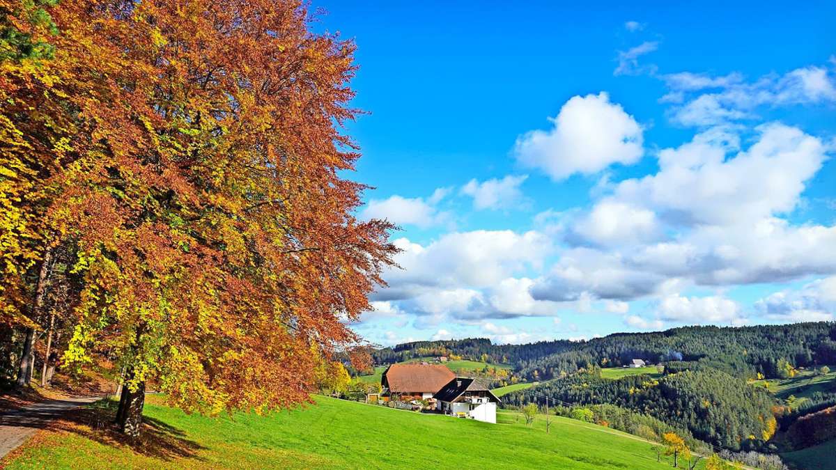 Schönste Urlaubsorte: Magazin sieht Tennenbronn unter Top acht im Schwarzwald