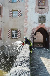 Das vorgesehene Löschwasser wird in den Schlossgraben abgelassen. Foto: Cools