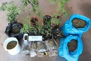 Die Polizisten fanden mehrere Kilogramm Cannabis und andere diverse Drogen. Foto: Polizei