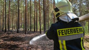 Grillen und Lagerfeuer im Wald vorerst verboten