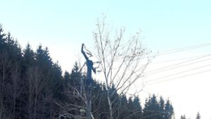 Baum knallt in Leitung: Stromversorgung in Hardt ist zeitweise tot