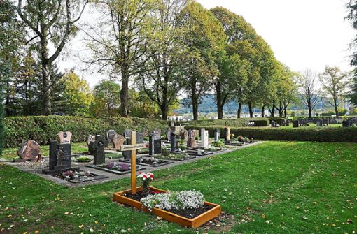 Der Friedhof in Dormettingen wird größer. Die Thuja-Hecke vor den großen Lindenbäumen ist bereits entfernt worden. Foto: Schweizer